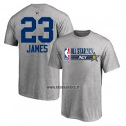 Maillot Manche Courte All Star 2024 LeBron James Gris