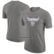 Maillot Manche Courte Chicago Bulls Ville 2023-24 Gris