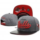 Casquette Chicago Bulls Mitchell & Ness Gris Rouge